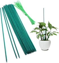 SAVITA 30Pcs Plant Support Sticks Wooden Garden Stakes with 30Pcs Plant Tie Spools, Floral Plant Green Bamboo Sticks for Bouquet, Potted Plant, Small Plant Stake, 15 Inches